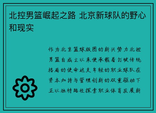 北控男篮崛起之路 北京新球队的野心和现实